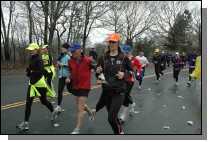 DSC_6798.jpg  (116.5 Kb)