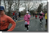 DSC_6803.jpg  (114.4 Kb)