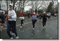 DSC_6827.jpg  (108.3 Kb)