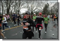 DSC_6856.jpg  (112.8 Kb)