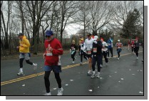 DSC_6881.jpg  (116.3 Kb)