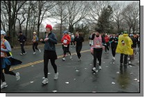 DSC_6883.jpg  (113.8 Kb)