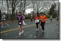 DSC_6902.jpg  (114.3 Kb)