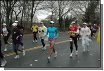 DSC_6917.jpg  (107.5 Kb)