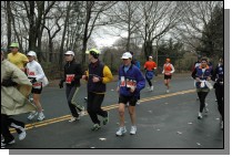 DSC_6919.jpg  (109.6 Kb)