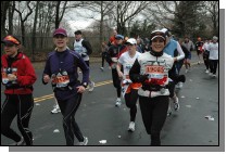 DSC_6929.jpg  (105.0 Kb)