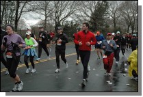 DSC_6942.jpg  (113.3 Kb)