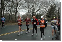 DSC_6944.jpg  (119.2 Kb)