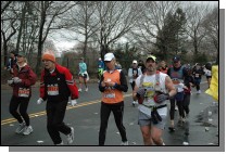 DSC_6945.jpg  (119.2 Kb)