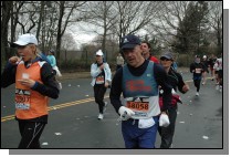 DSC_6946.jpg  (104.6 Kb)