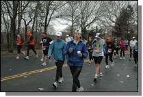 DSC_6972.jpg  (118.7 Kb)