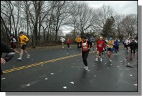 DSC_6994.jpg  (109.7 Kb)