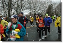 DSC_7049.jpg  (121.5 Kb)