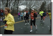 DSC_7112.jpg  (108.2 Kb)