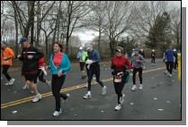 DSC_7135.jpg  (112.5 Kb)