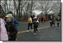 DSC_7153.jpg  (100.3 Kb)