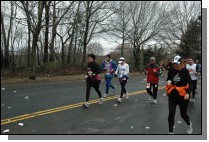 DSC_7185.jpg  (122.0 Kb)