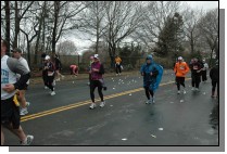 DSC_7207.jpg  (113.2 Kb)