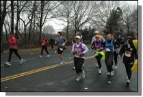 DSC_7253.jpg  (117.5 Kb)