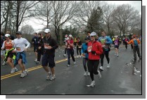 DSC_7298.jpg  (115.3 Kb)