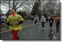 DSC_7308.jpg  (112.4 Kb)