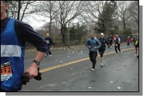 DSC_7352.jpg  (96.5 Kb)