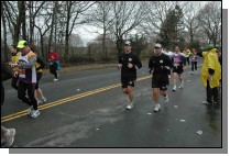 DSC_7529.jpg  (111.2 Kb)