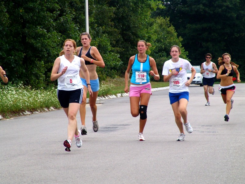 070826-077.jpg  (142.3 Kb)