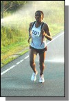 070731-572.jpg  (104.4 Kb)