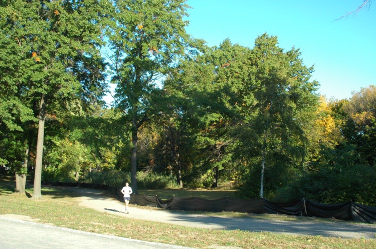 081012-0235.jpg  (149.3 Kb)