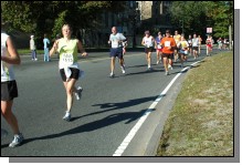 081012-0867.jpg  (135.6 Kb)