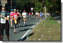 081012-1067.jpg  (138.8 Kb)
