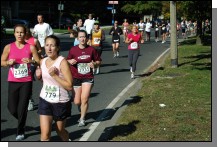 081012-1197.jpg  (122.6 Kb)
