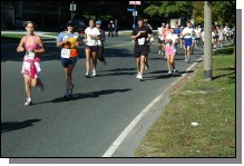 081012-1199.jpg  (127.7 Kb)