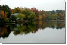 081026-001.jpg  (83.0 Kb)