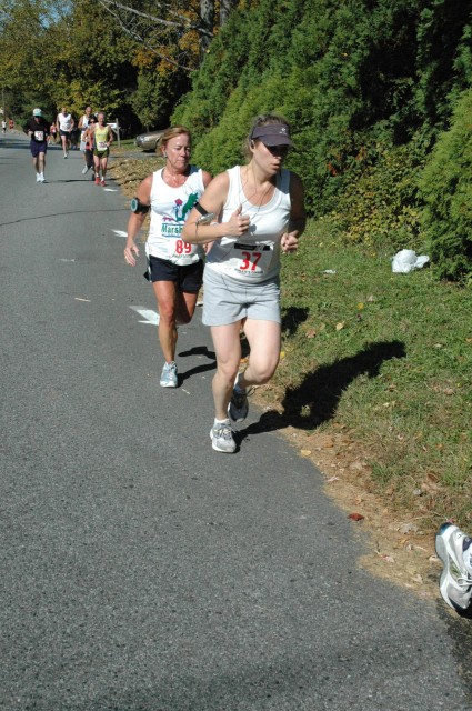 DSC_3113.jpg  (102.5 Kb)