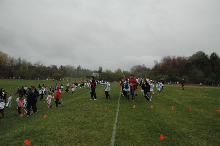 DSC_3624.jpg  (65.2 Kb)