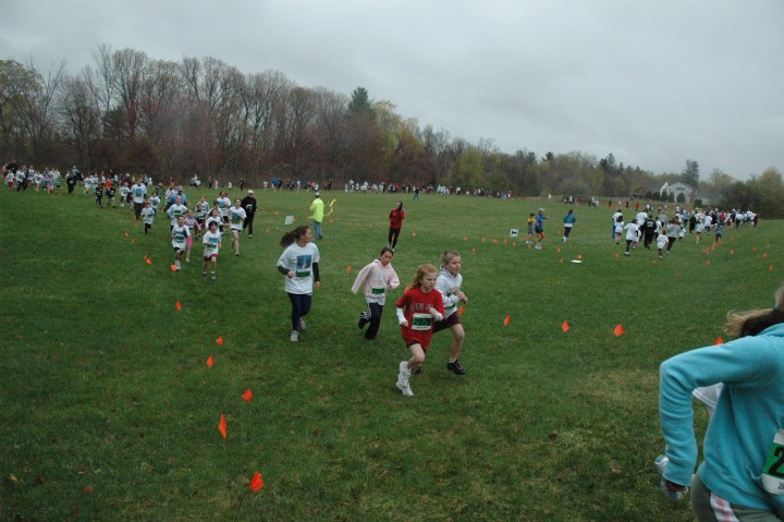 DSC_3664.jpg  (87.0 Kb)