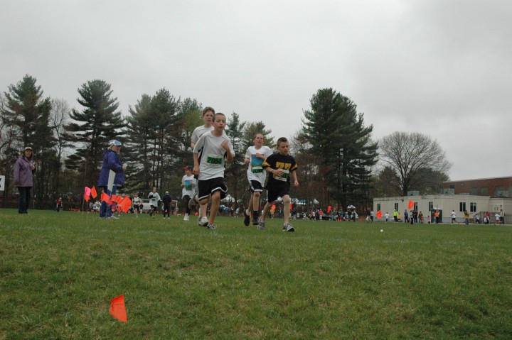 DSC_3745.jpg  (84.3 Kb)
