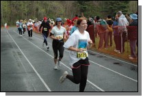 DSC_4533.jpg  (108.3 Kb)