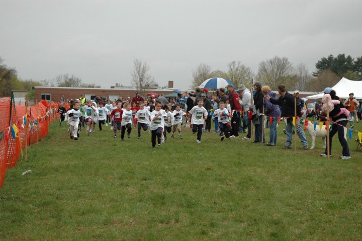 DSC_3531.jpg  (84.5 Kb)