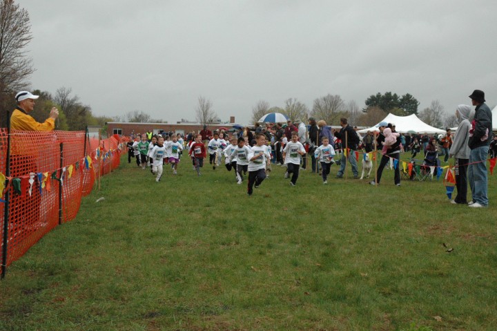 DSC_3533.jpg  (87.7 Kb)