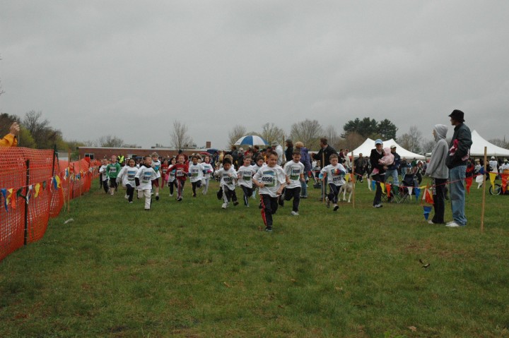 DSC_3534.jpg  (77.6 Kb)