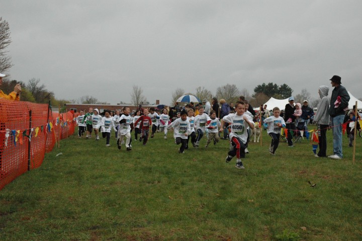 DSC_3535.jpg  (80.1 Kb)