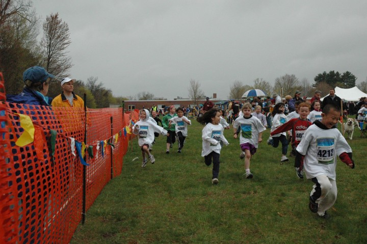 DSC_3537.jpg  (91.7 Kb)