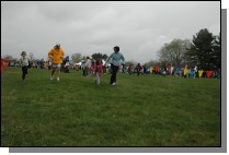 DSC_3524.jpg  (74.7 Kb)