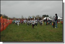 DSC_3534.jpg  (77.6 Kb)