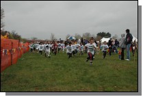 DSC_3535.jpg  (80.1 Kb)