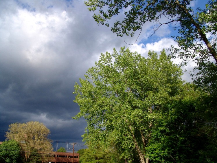 080522-000.jpg  (150.0 Kb)