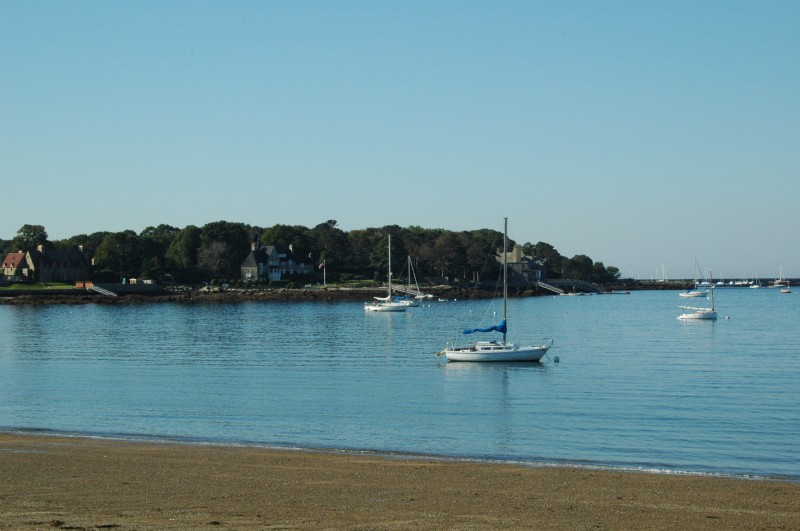 080920-0579.jpg  (76.0 Kb)